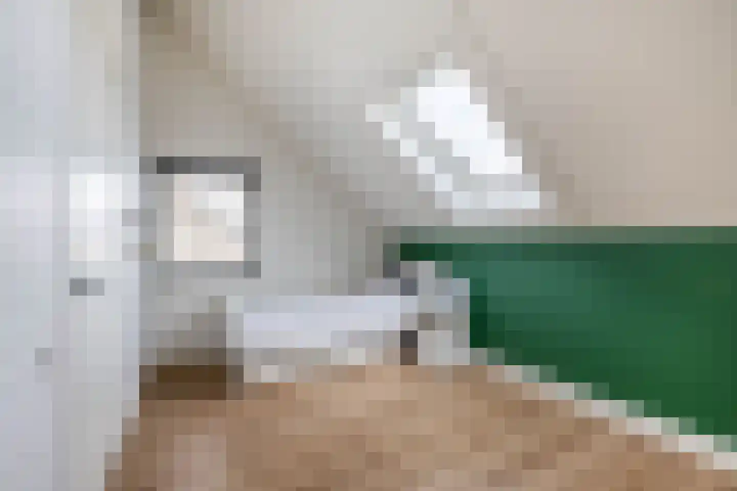 Ganzerik 49 Waddinxveen thumbnail 36