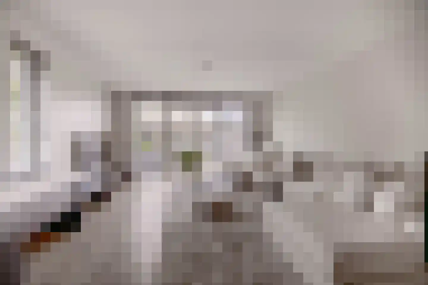 Ganzerik 49 Waddinxveen thumbnail 4