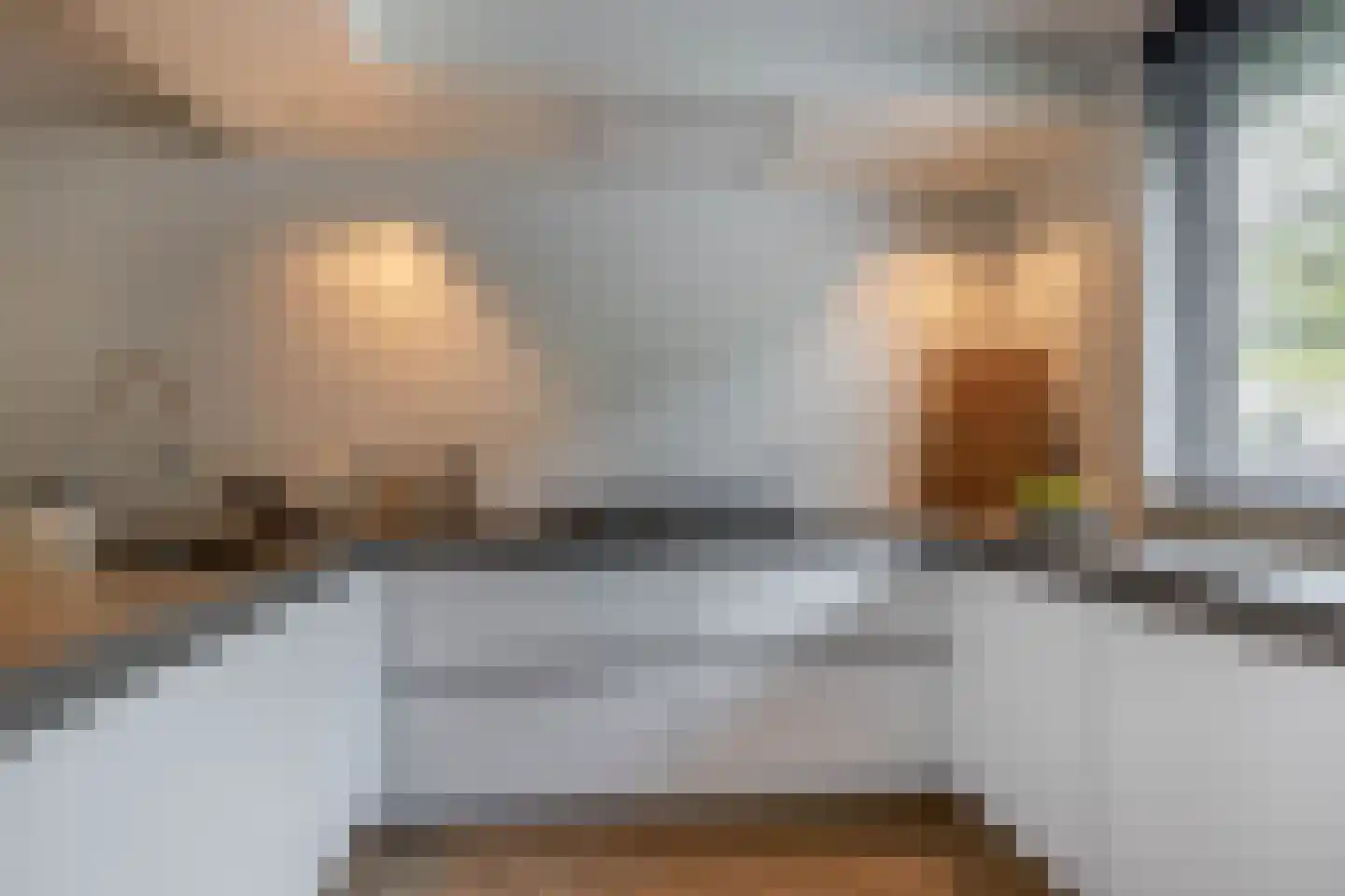 Ganzerik 49 Waddinxveen thumbnail 5
