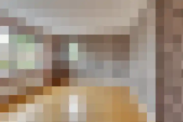 Ganzerik 5 Swifterbant thumbnail 15
