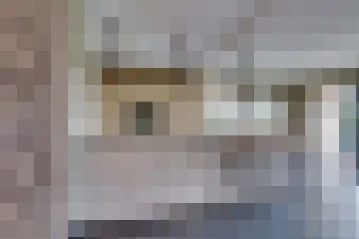 Ganzerik 5 Swifterbant thumbnail 18