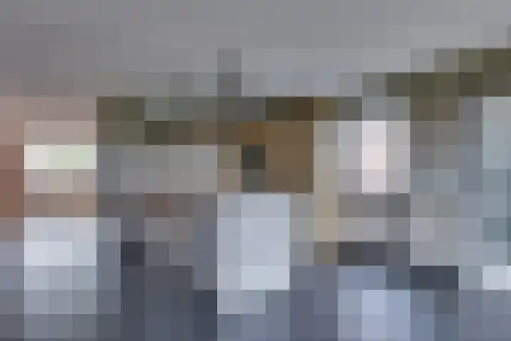 Ganzerik 5 Swifterbant thumbnail 19