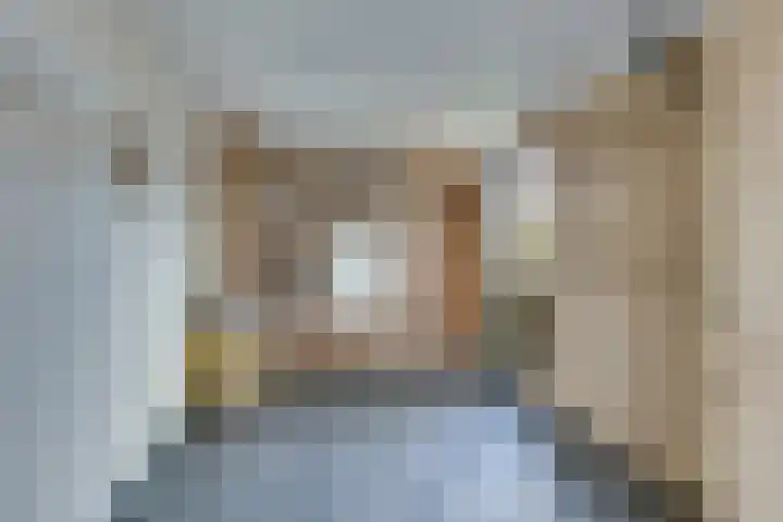 Ganzerik 5 Swifterbant thumbnail 22
