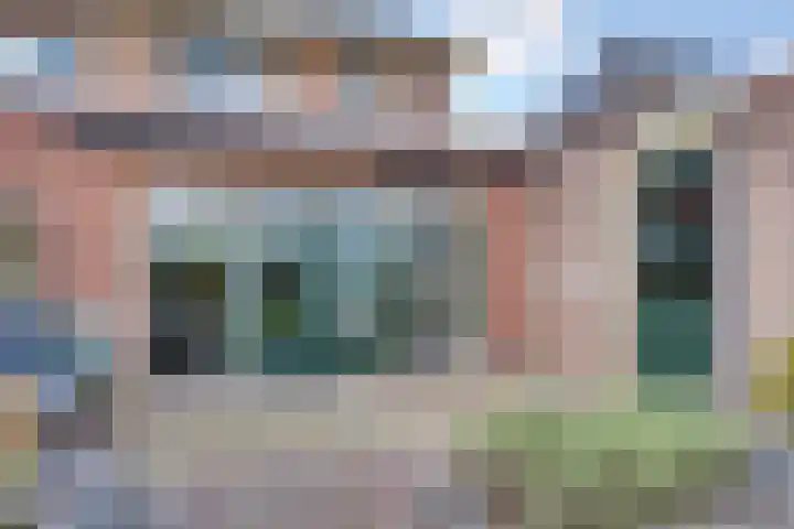 Ganzerik 5 Swifterbant thumbnail 24