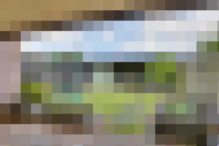 Ganzerik 5 Swifterbant thumbnail 25