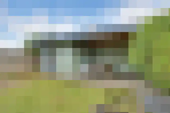 Ganzerik 5 Swifterbant thumbnail 26