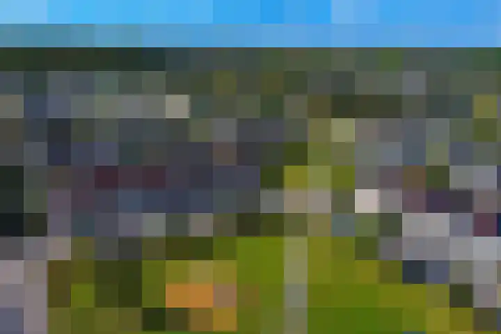 Ganzerik 5 Swifterbant thumbnail 30