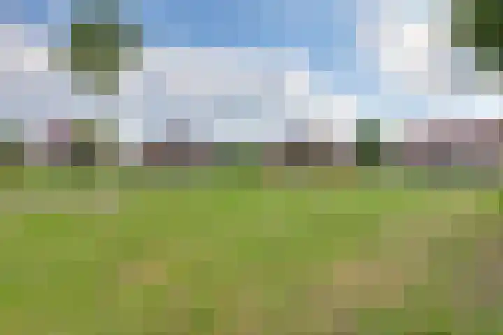 Ganzerik 5 Swifterbant thumbnail 31