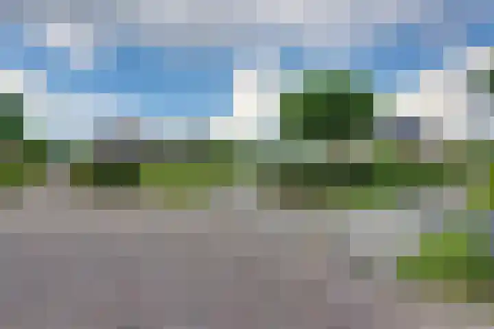 Ganzerik 5 Swifterbant thumbnail 32