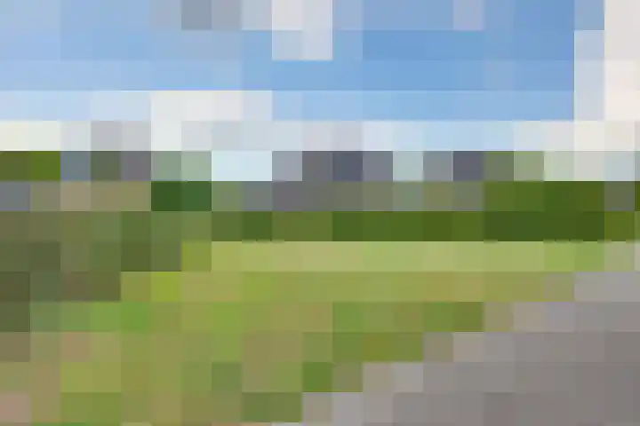 Ganzerik 5 Swifterbant thumbnail 33