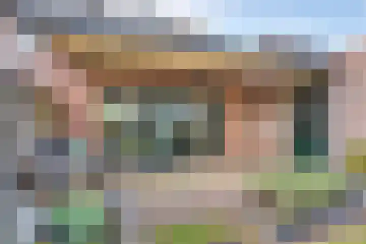 Ganzerik 5 Swifterbant thumbnail 35