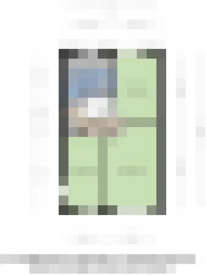 Ganzerik 5 Swifterbant thumbnail 36