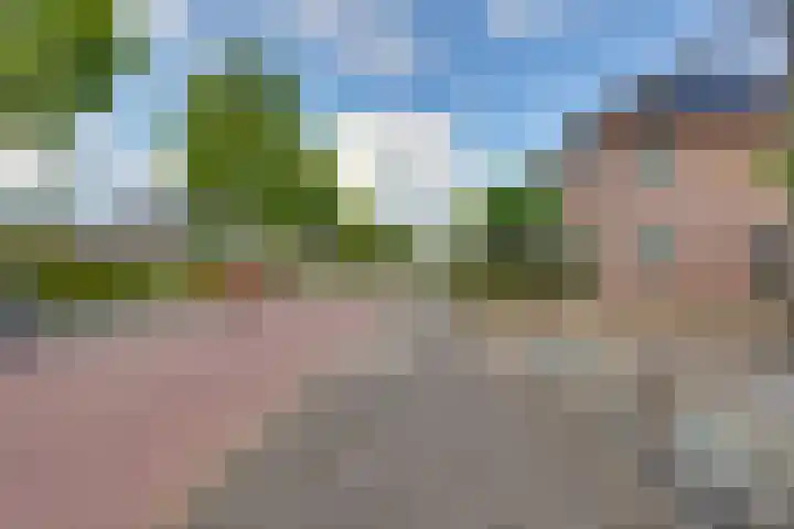 Ganzerik 5 Swifterbant thumbnail 4