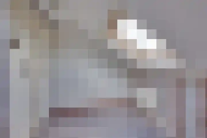 Ganzerik 5 Swifterbant thumbnail 49