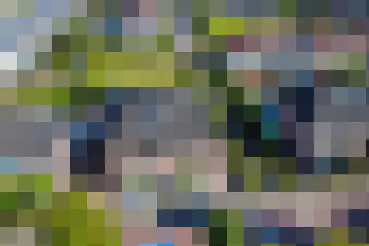 Ganzerik 5 Swifterbant thumbnail 6