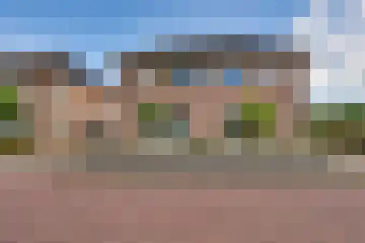 Ganzerik 5 Swifterbant thumbnail 7