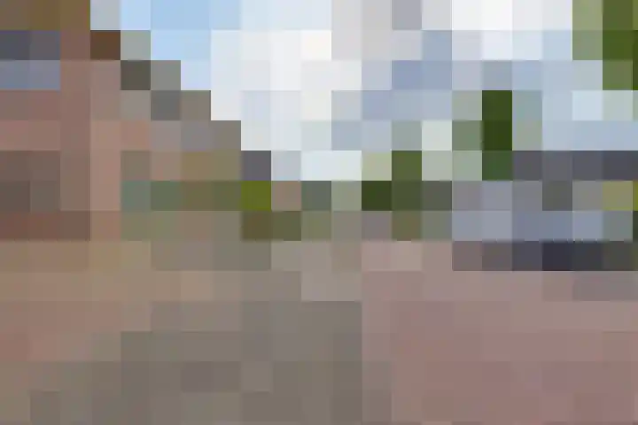 Ganzerik 5 Swifterbant thumbnail 8