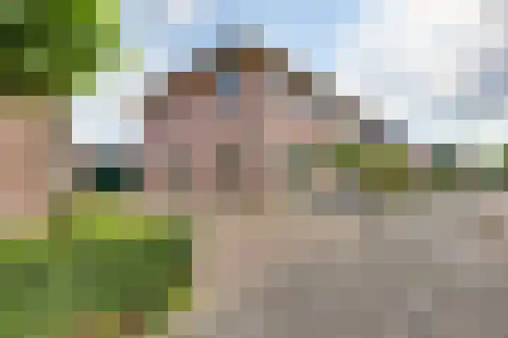 Ganzerik 5 Swifterbant thumbnail 9