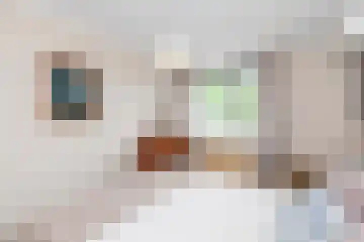 Ganzerik 9 Alblasserdam thumbnail 14