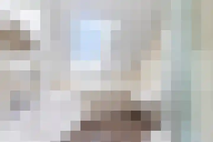 Ganzerik 9 Alblasserdam thumbnail 19