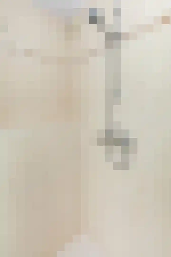 Ganzerik 9 Alblasserdam thumbnail 21