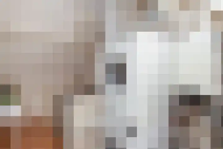 Ganzerik 9 Alblasserdam thumbnail 22