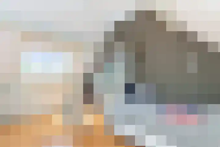 Ganzerik 9 Alblasserdam thumbnail 24