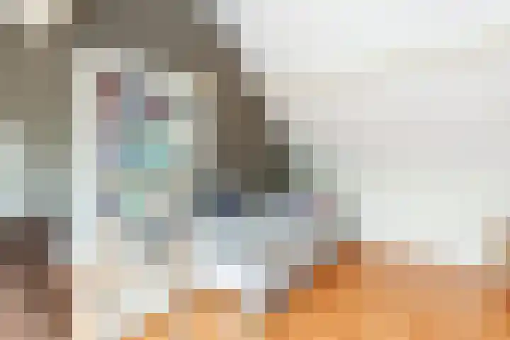 Ganzerik 9 Alblasserdam thumbnail 26
