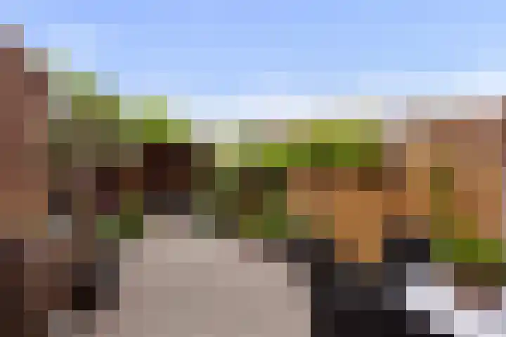 Ganzerik 9 Alblasserdam thumbnail 27