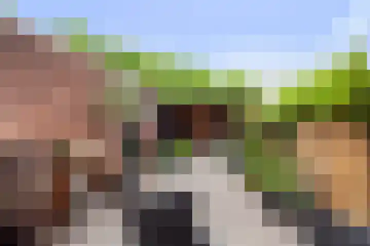 Ganzerik 9 Alblasserdam thumbnail 29
