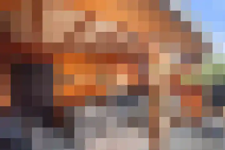 Ganzerik 9 Alblasserdam thumbnail 31