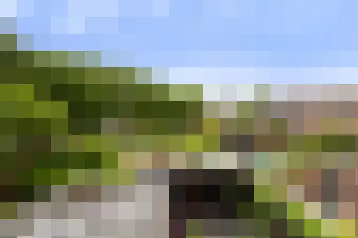 Ganzerik 9 Alblasserdam thumbnail 32