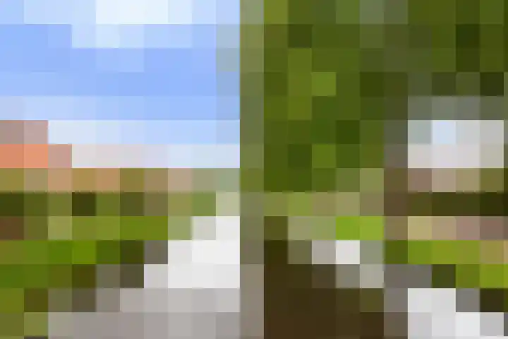 Ganzerik 9 Alblasserdam thumbnail 34