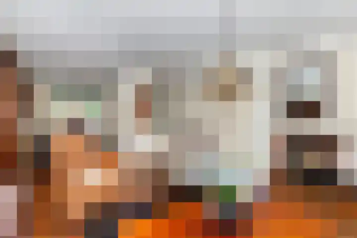 Ganzerik 9 Alblasserdam thumbnail 7