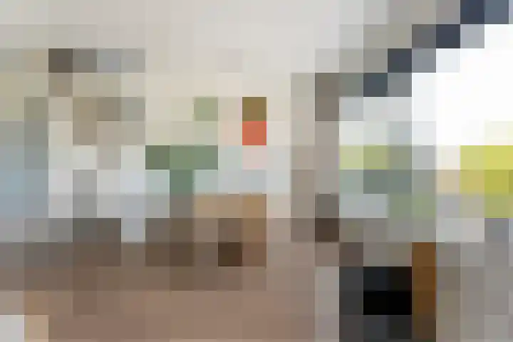 Ganzerikplein 7 A Rotterdam thumbnail 12
