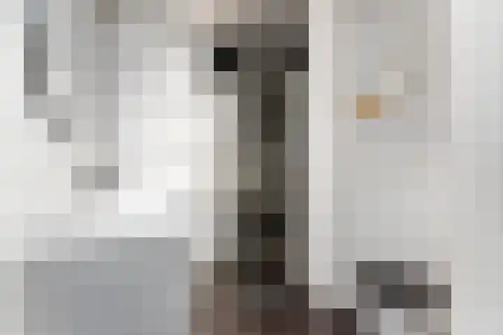 Ganzerikplein 7 A Rotterdam thumbnail 23
