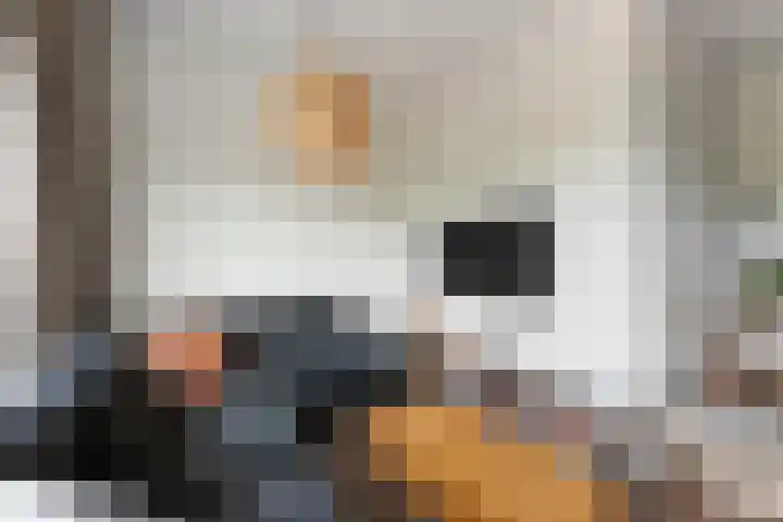 Ganzerikplein 7 A Rotterdam thumbnail 31