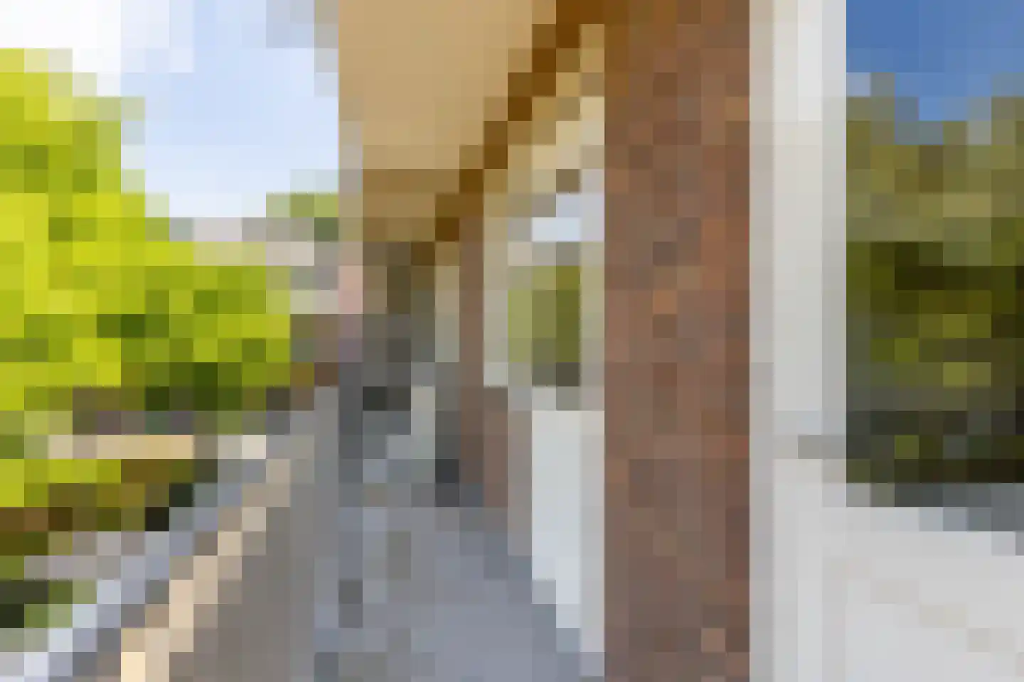 Ganzerikplein 7 B Rotterdam thumbnail 12