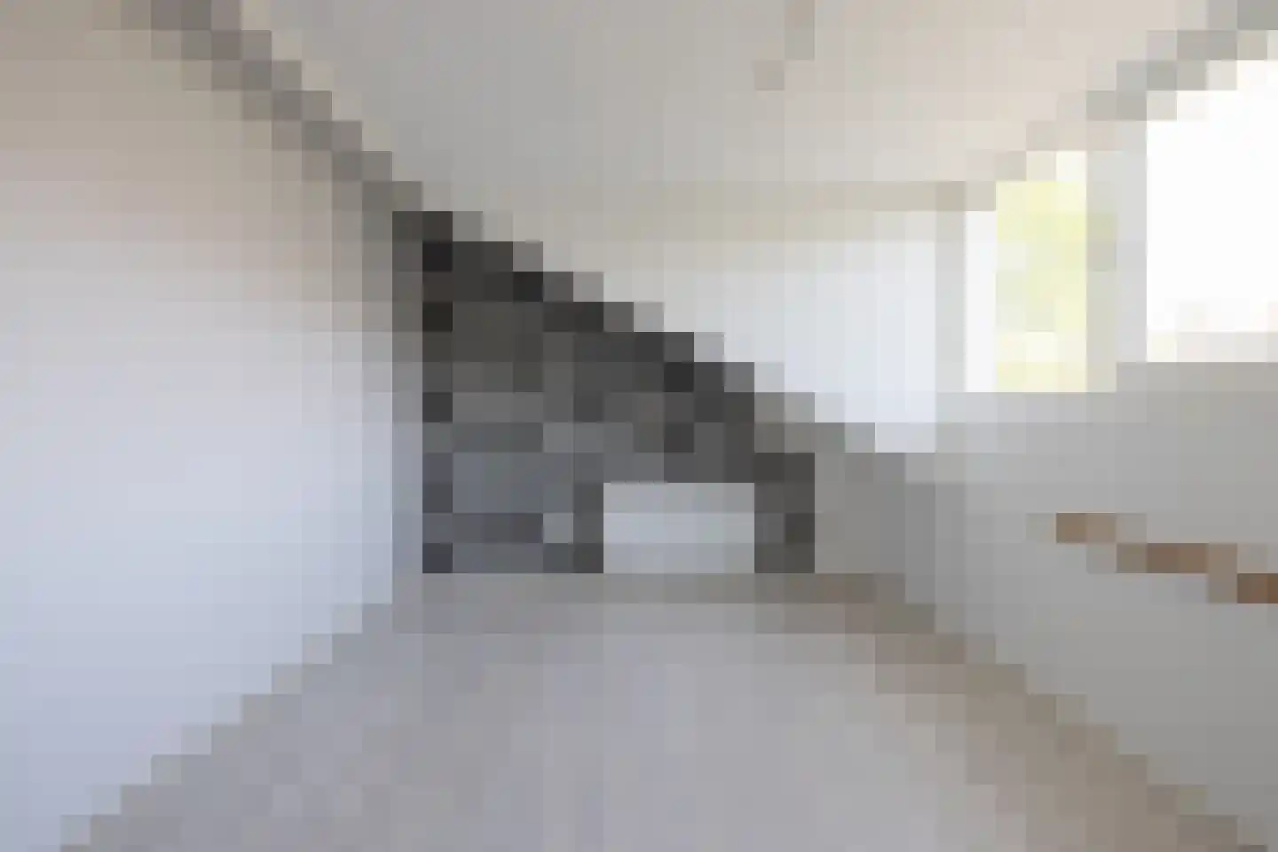 Ganzerikplein 8 B Rotterdam thumbnail 17