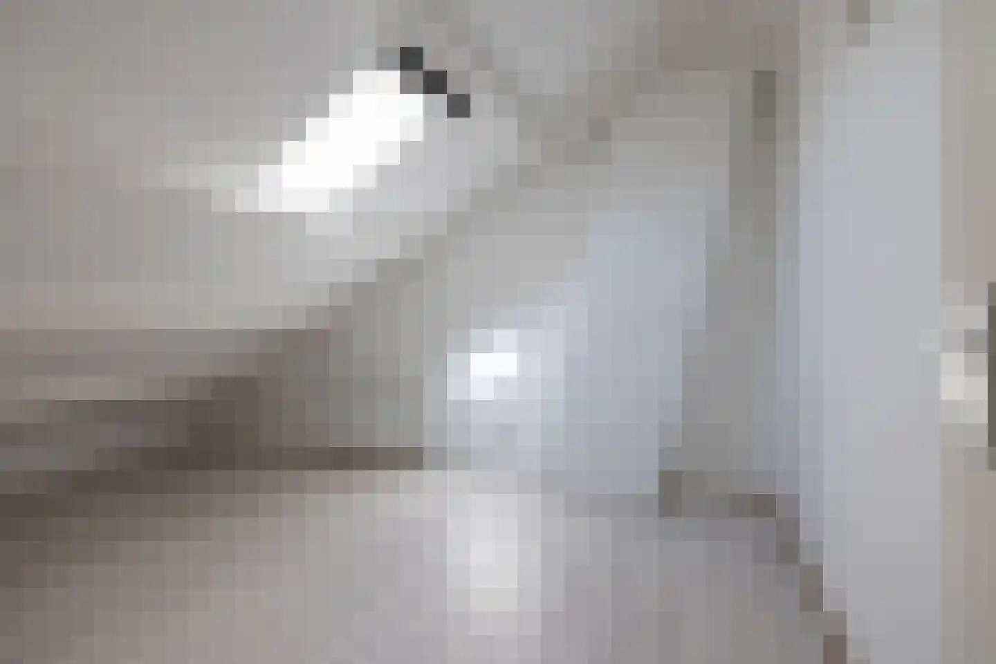Ganzerikplein 8 B Rotterdam thumbnail 18