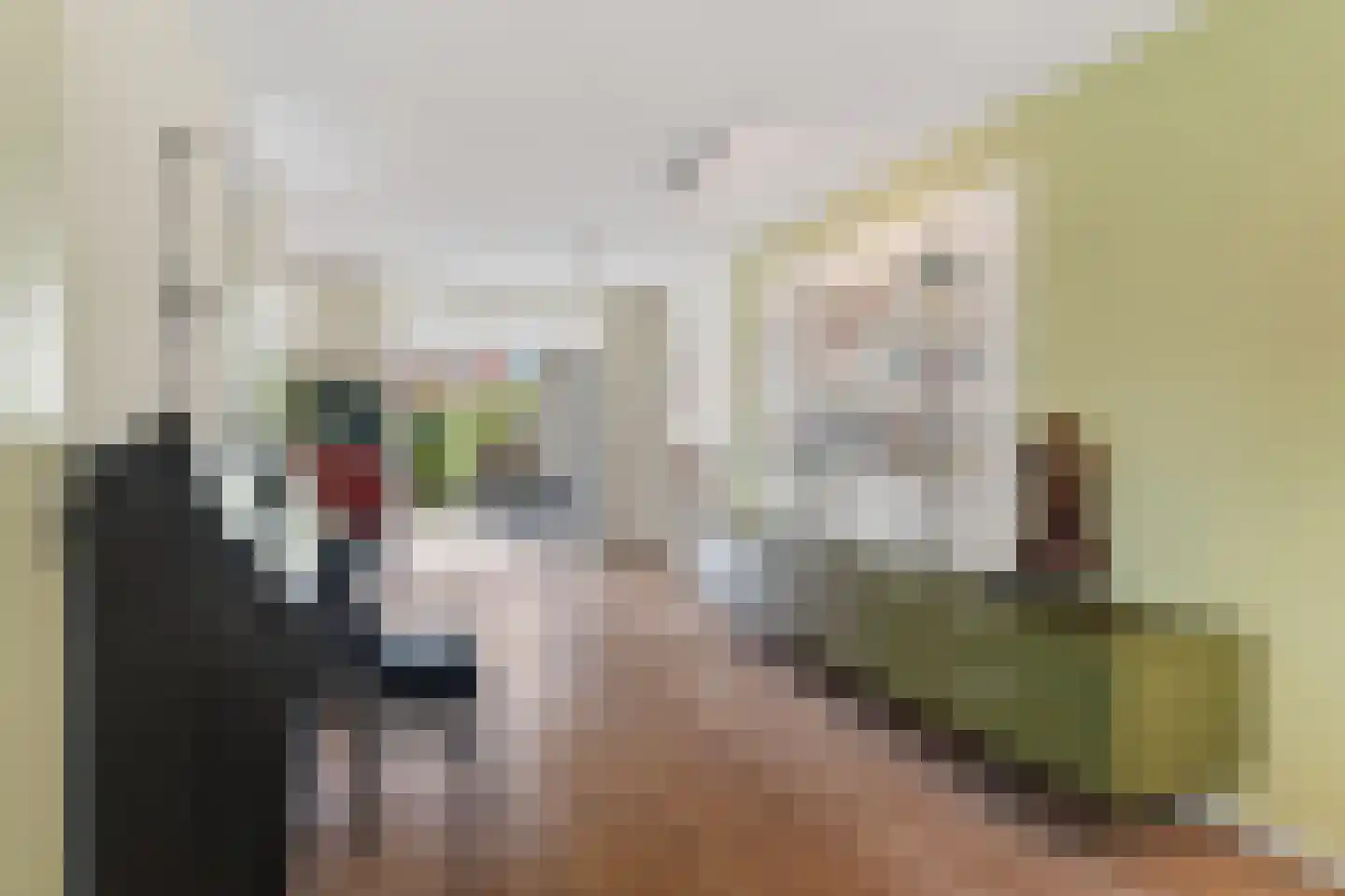 Ganzeriksingel 4 Vught thumbnail 11