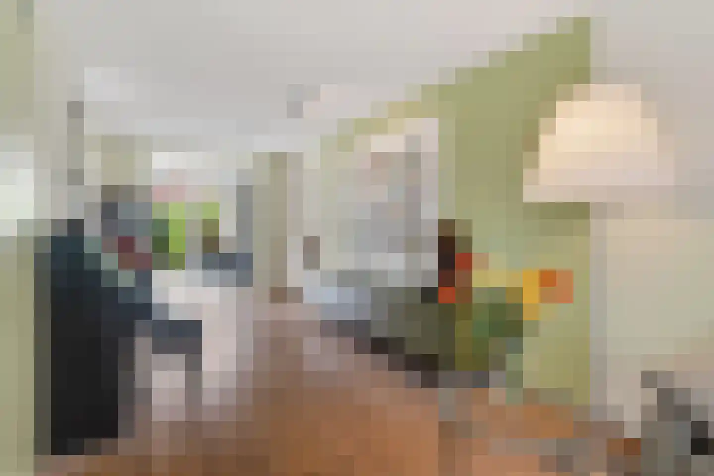 Ganzeriksingel 4 Vught thumbnail 15