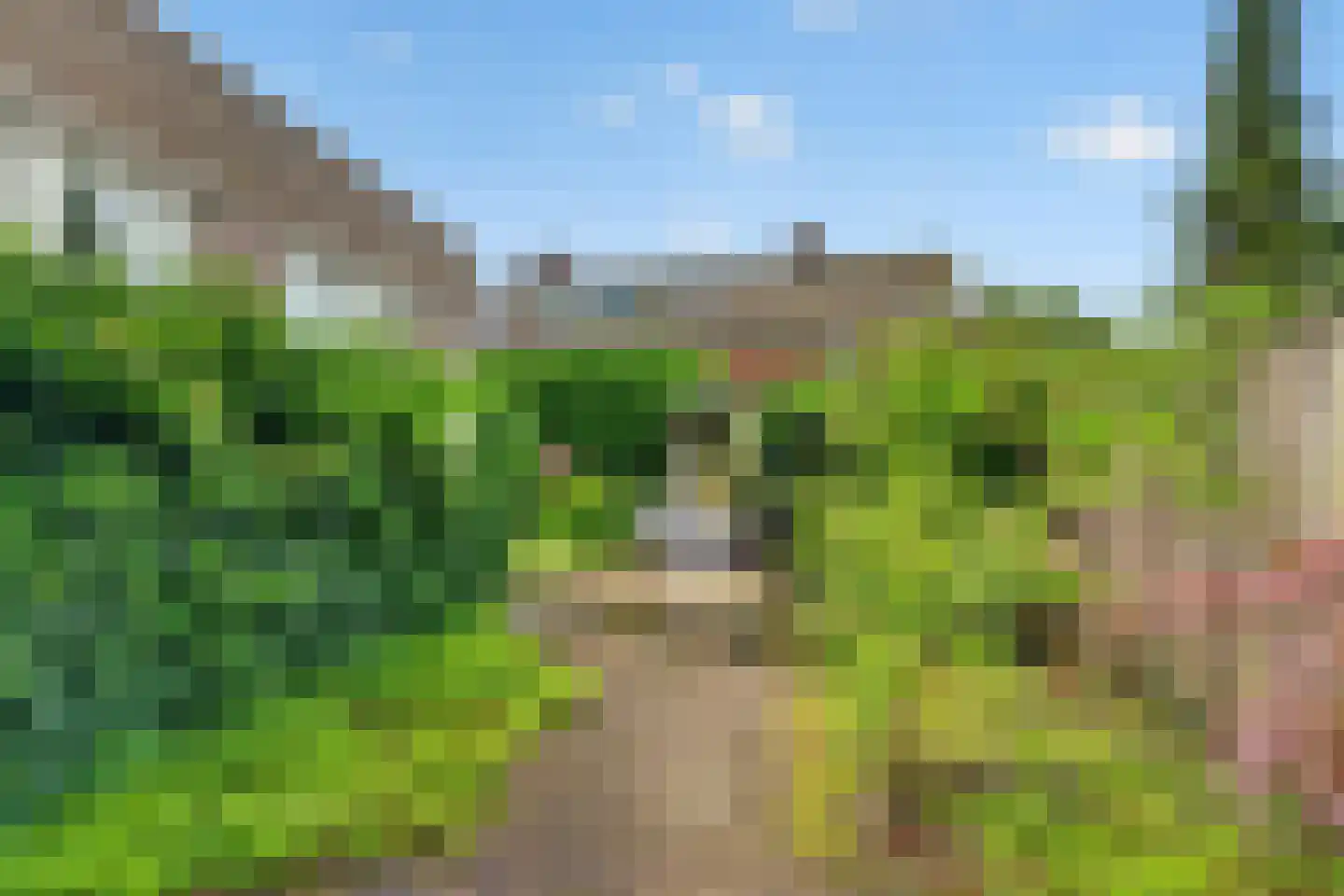 Ganzeriksingel 4 Vught thumbnail 18