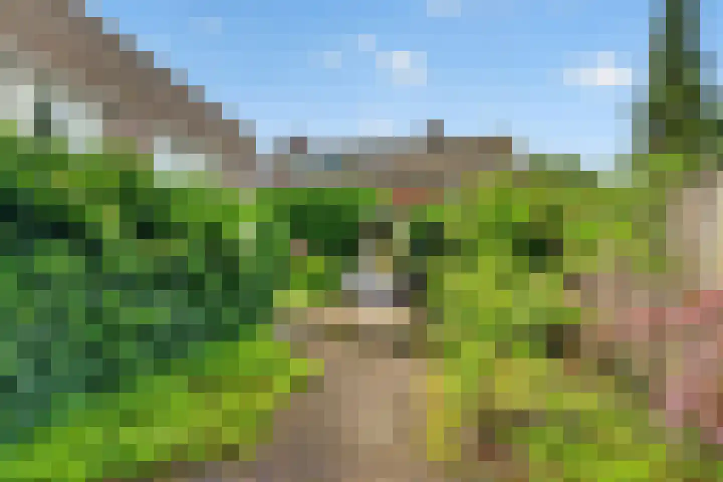 Ganzeriksingel 4 Vught thumbnail 22