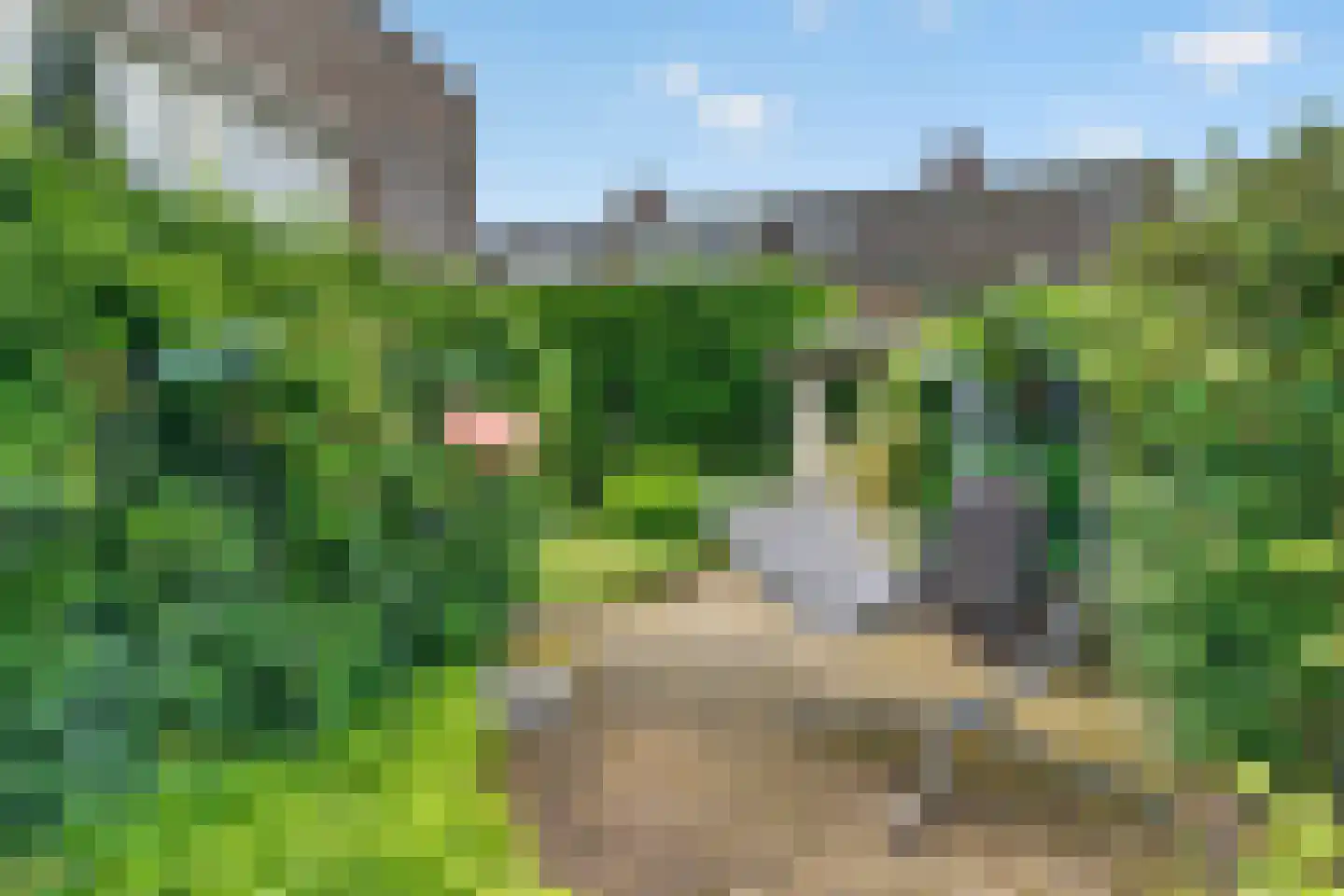 Ganzeriksingel 4 Vught thumbnail 23