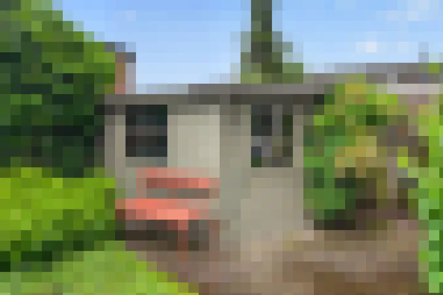Ganzeriksingel 4 Vught thumbnail 33