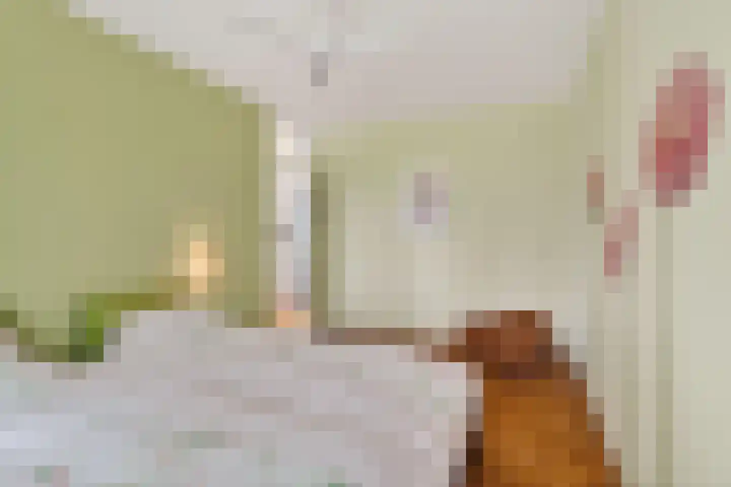 Ganzeriksingel 4 Vught thumbnail 34