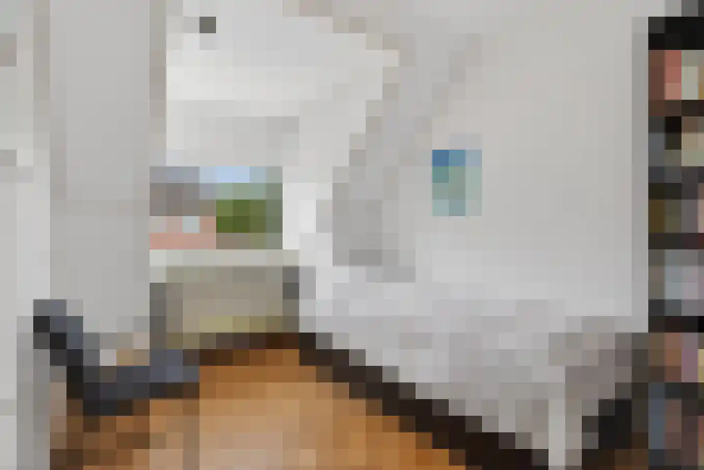 Ganzeriksingel 4 Vught thumbnail 45