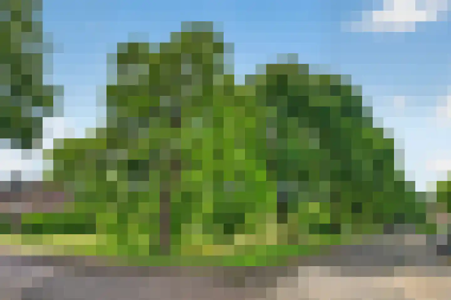 Ganzeriksingel 4 Vught thumbnail 51