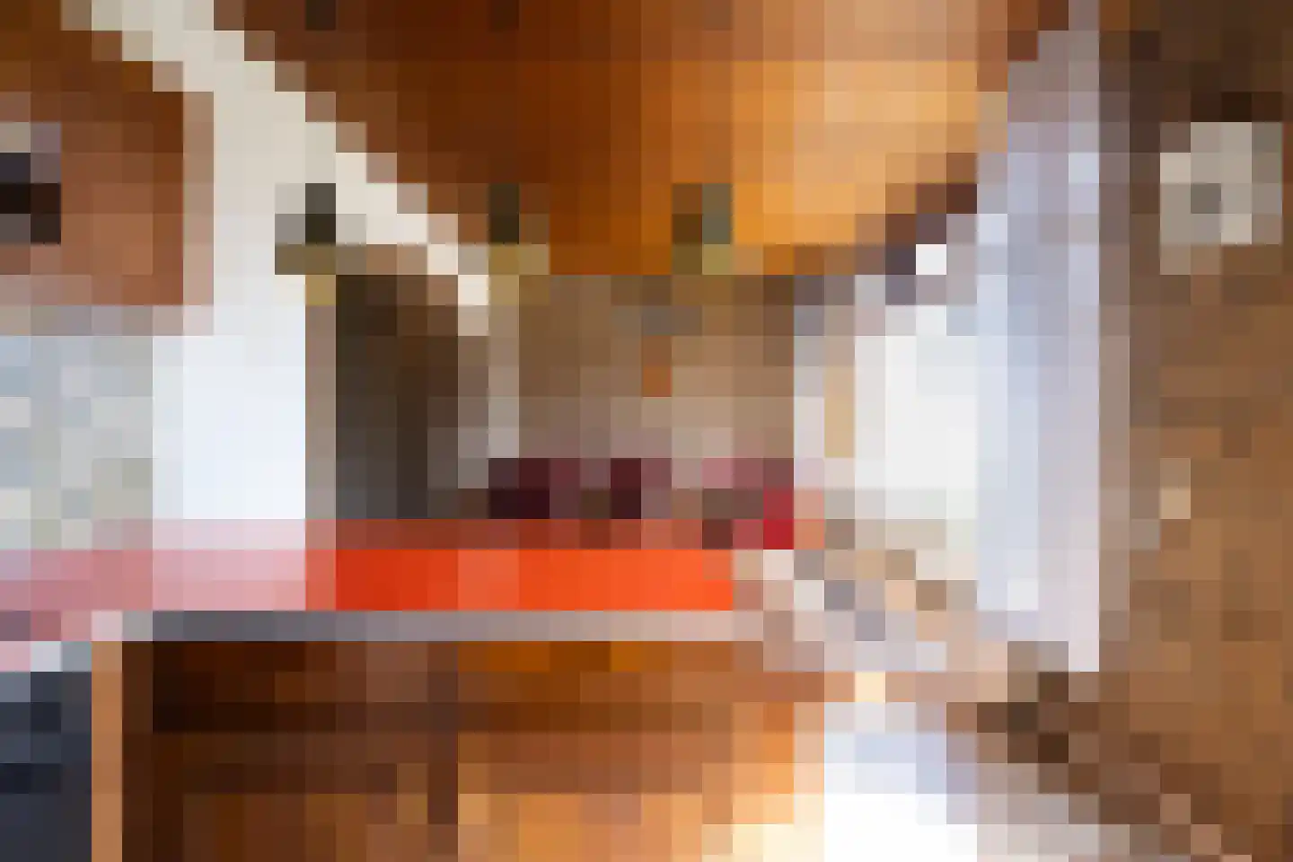 Ganzerikstraat 16 Waalwijk thumbnail 13